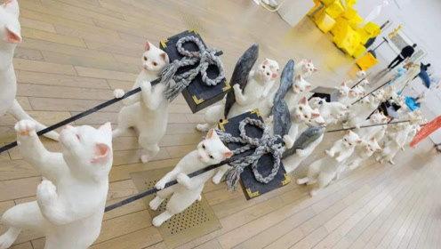 娱乐吃瓜君大嘴猴,揭秘娱乐圈那些不为人知的幕后故事